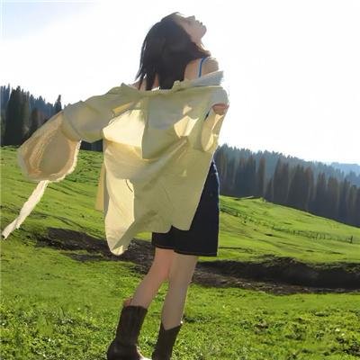 蜜蜂的秘密生活